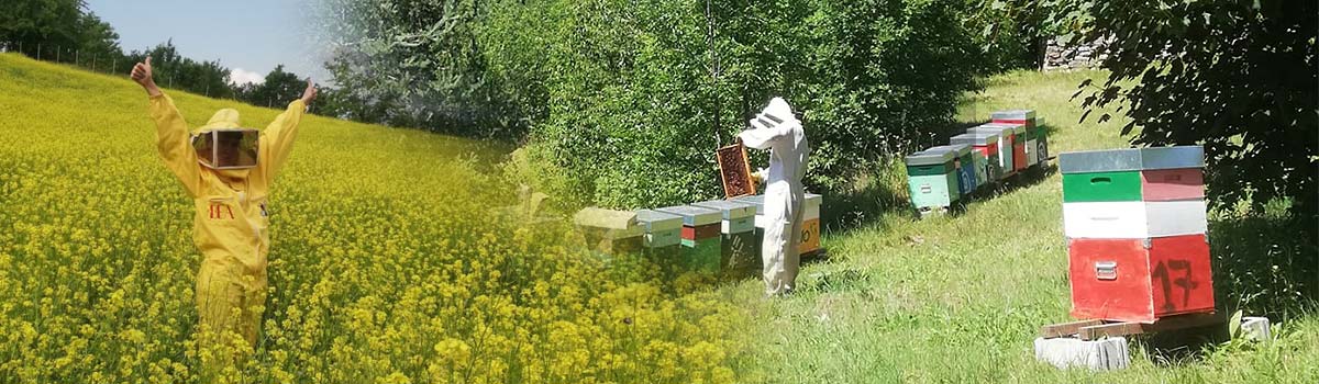 Beatrice Barroero bei den Bienen