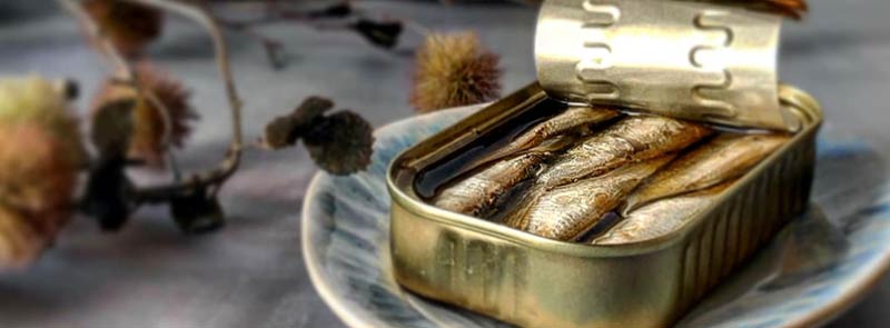 Überraschung und Nachhaltigkeit - Das 4er Fischkonserven-Set von José Gourmet