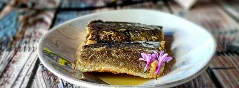 Geräucherte Forellenfilets in Olivenöl Geräucherte Forellenfilets in Olivenöl