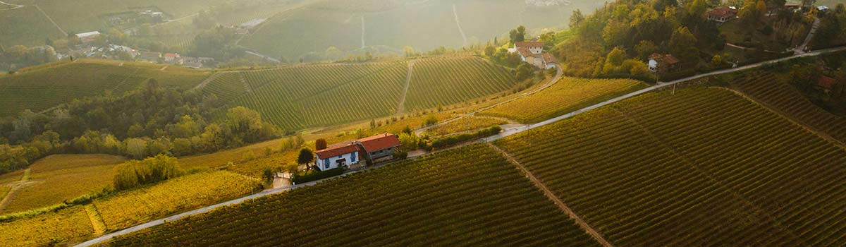 Santo Stefano Roero | Weinberg im Piemont