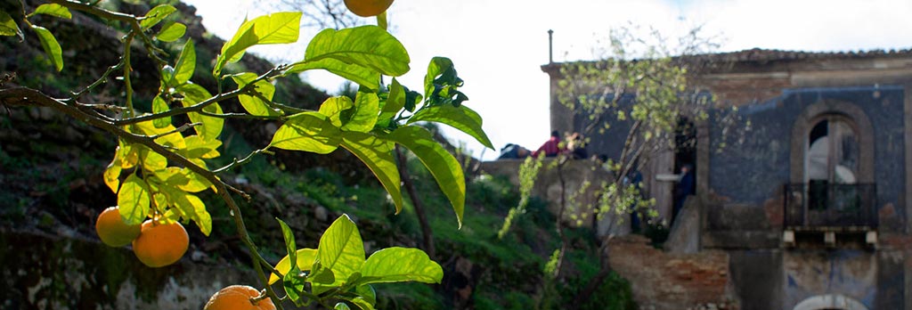 Clementinen aus Kalanrien